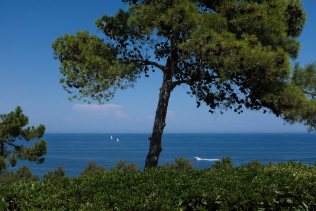 5-201808DSCF3324-1024×683